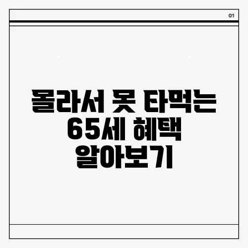 몰라서 못 타먹는 65세 혜택 알아보기