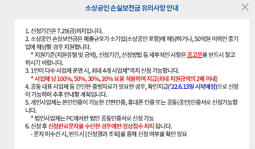 소상공인손실보전금