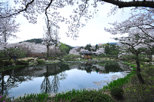 경주 가볼만한 곳 보문정
