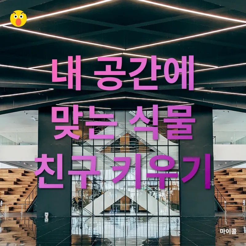 식물 인테리어_3