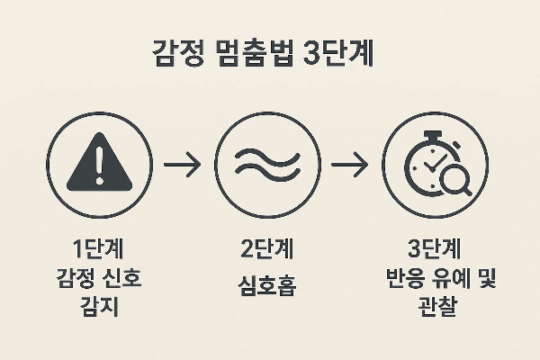감정 멈춤법 3단계 인포그래픽 – 감정 신호 감지, 심호흡, 반응 유예 및 관찰 단계 시각 안내