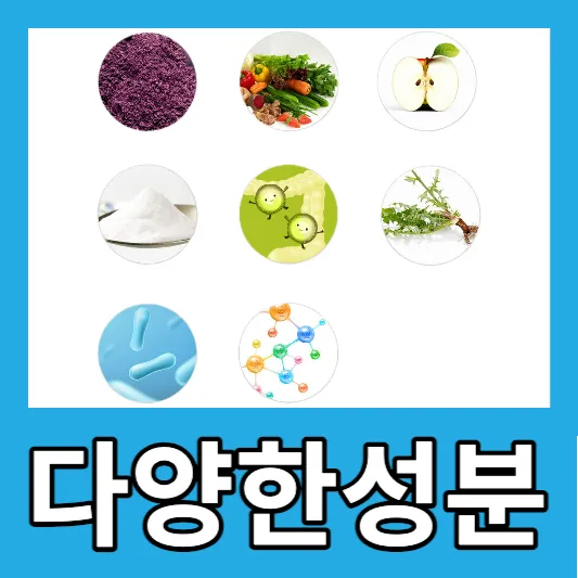 카무트효소 효능 먹는법 추천 골드 카무트효소 분말 가격