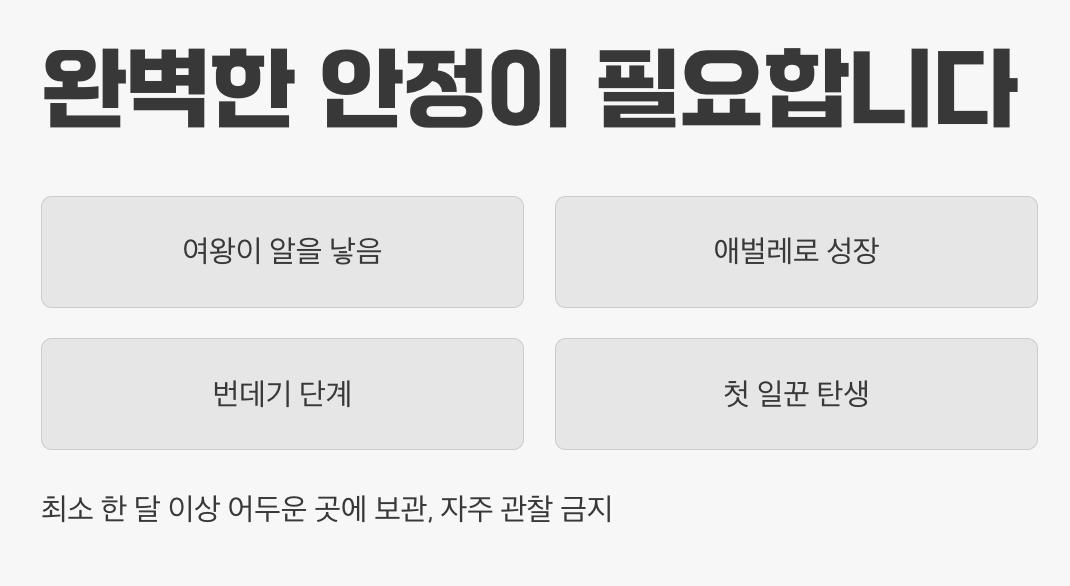 기다림의 미학, 절대 방해 금지!