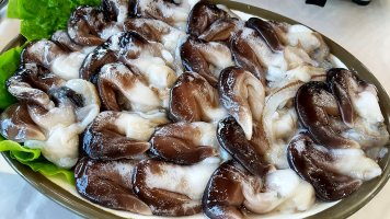 갈미조개 새조개