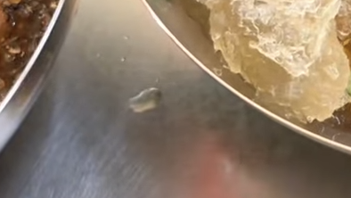 생활의 달인&amp;#44; 묵밥달인