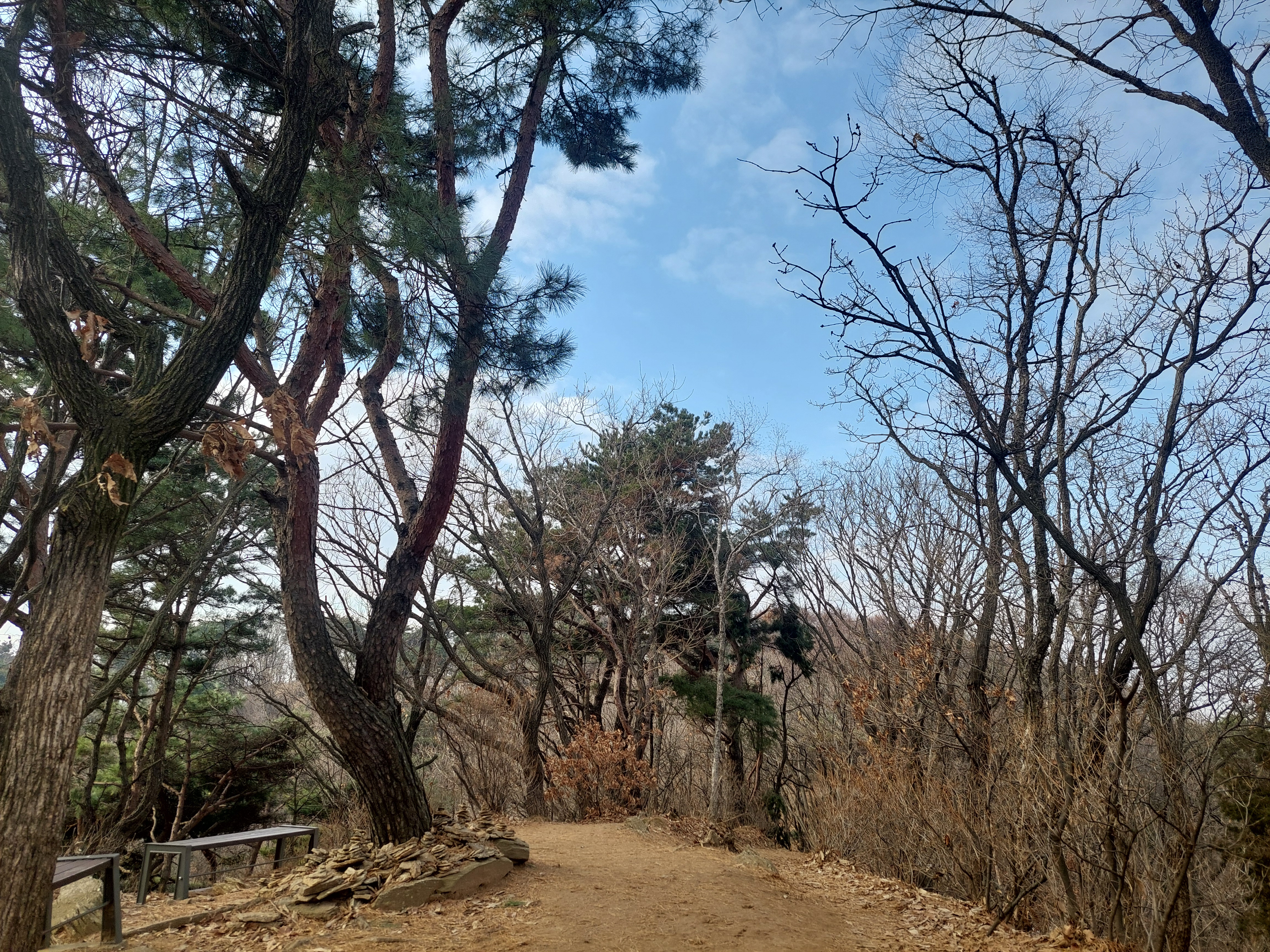 청계산