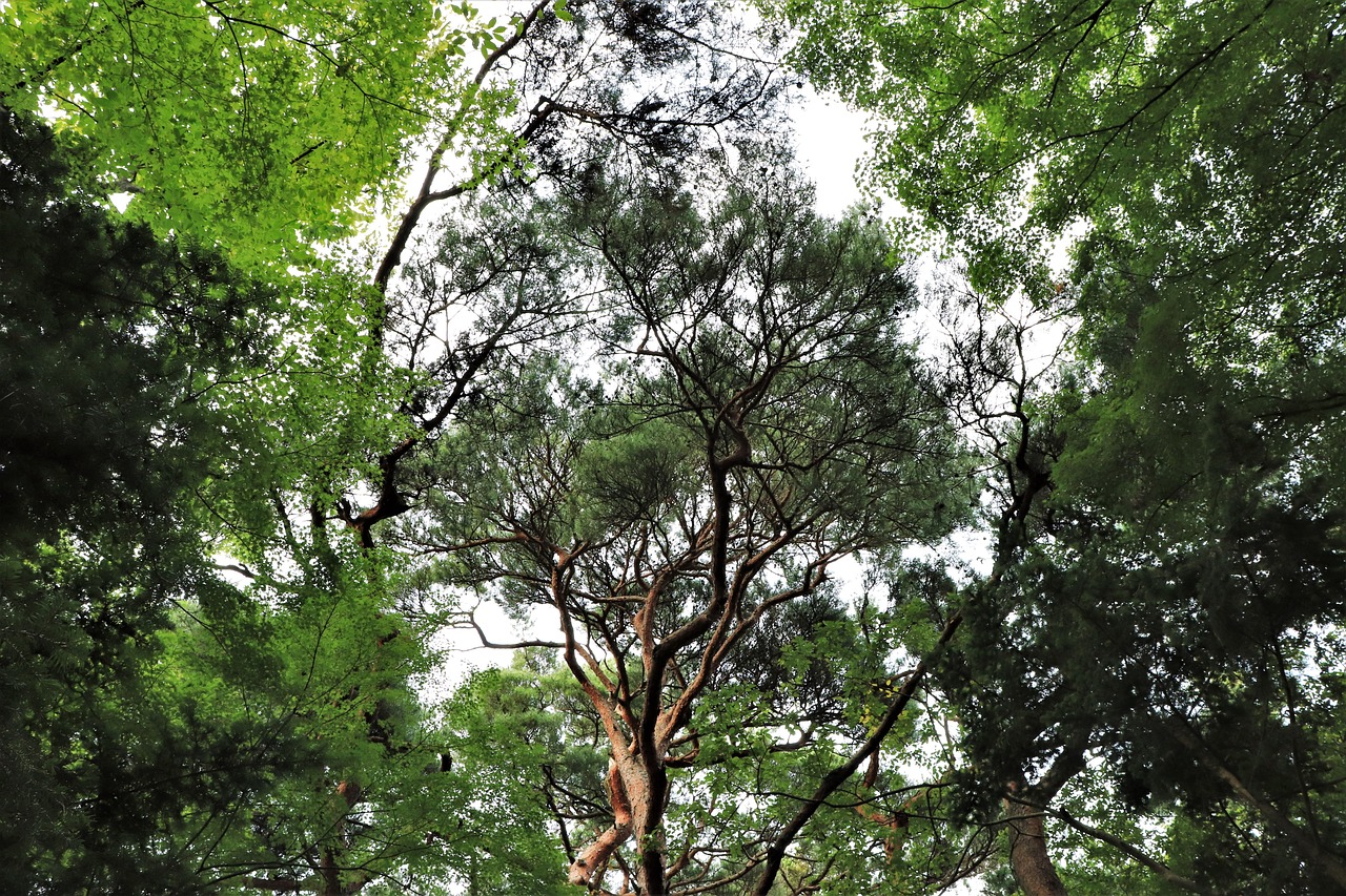 제천 가볼만한곳 베스트10 4