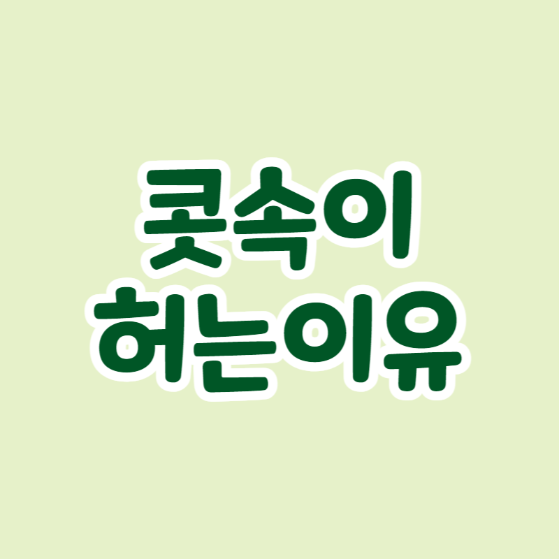 콧속이 허는이유
