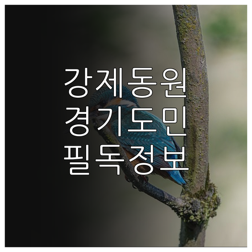 2025년 놓치면 손해! 강제동원 피..