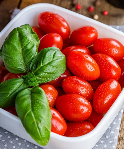 여름 과일 토마토