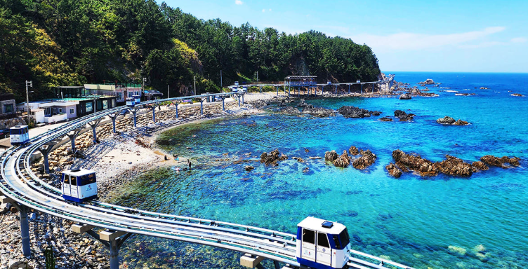 7월, 당신의 여름을 위한 완벽한 여행지: 시원한 바다부터 이색 축제까지