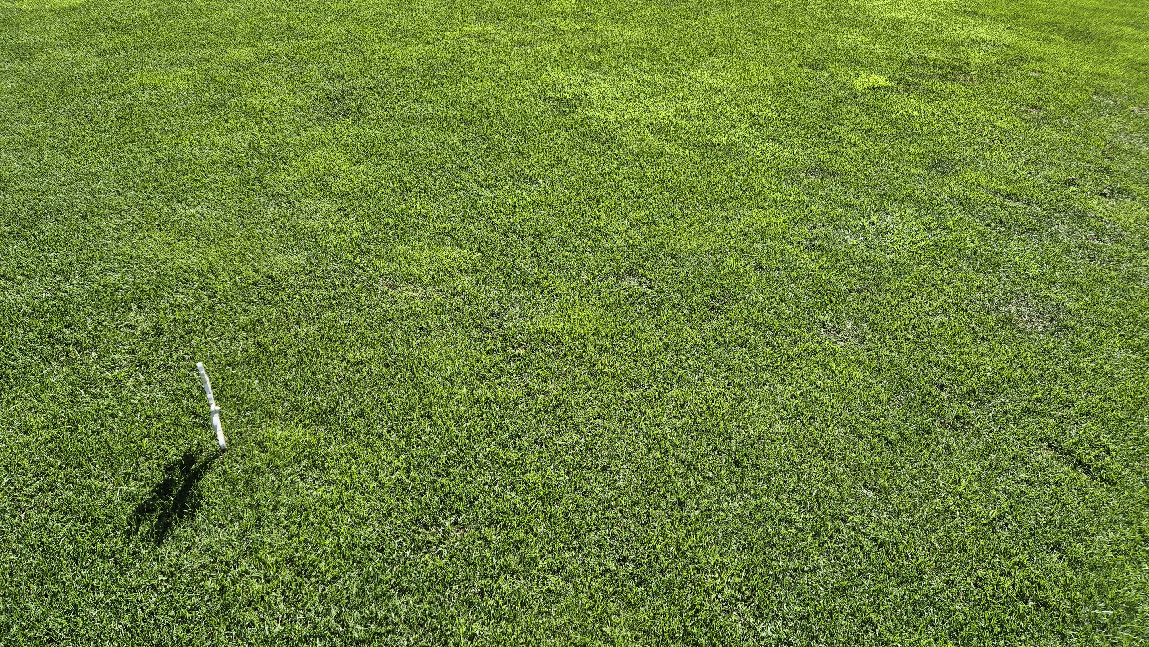 SG 아름다운cc 라운드 후기