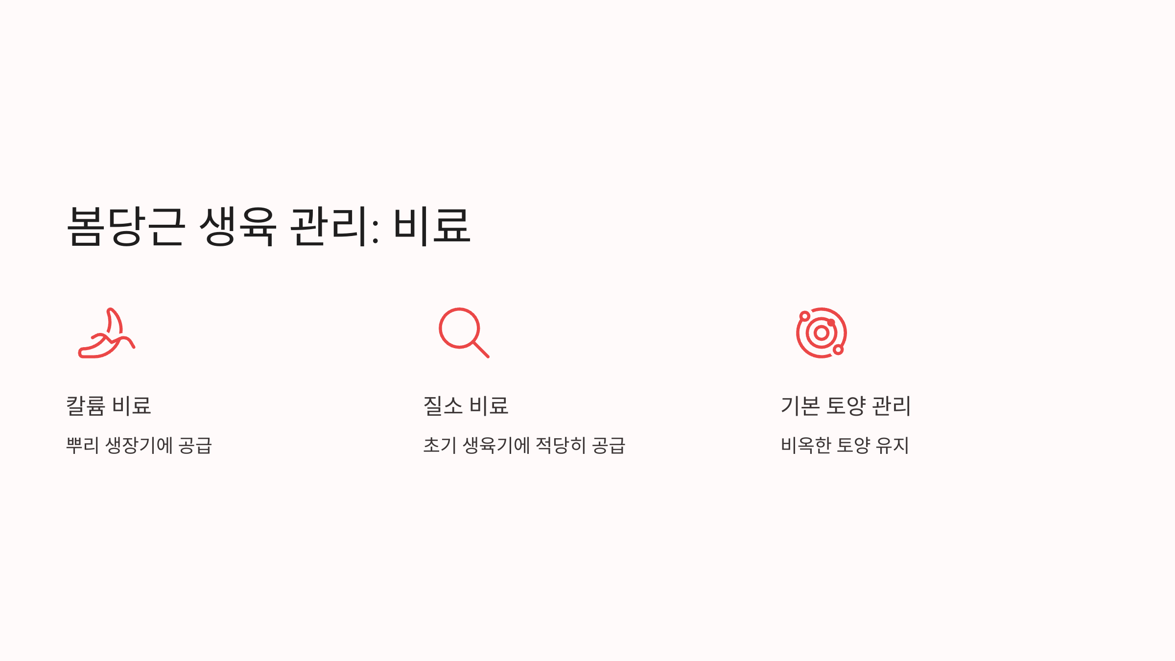 당근 사진입니다.