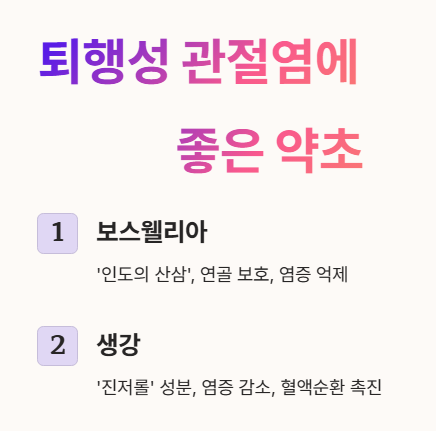 퇴행성 관절염에 좋은 약초 : 보스웰리아&amp;#44; 생강