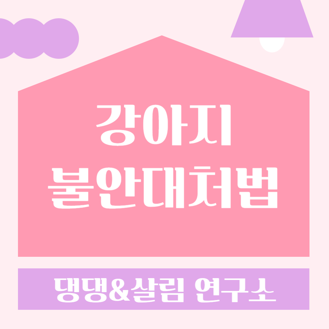 강아지불안