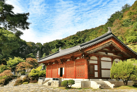 [명품숲길 50선 가을단풍 산행 ③] 청년 김대건길 : 역사와 단풍이 만나는 용인의 순례숲