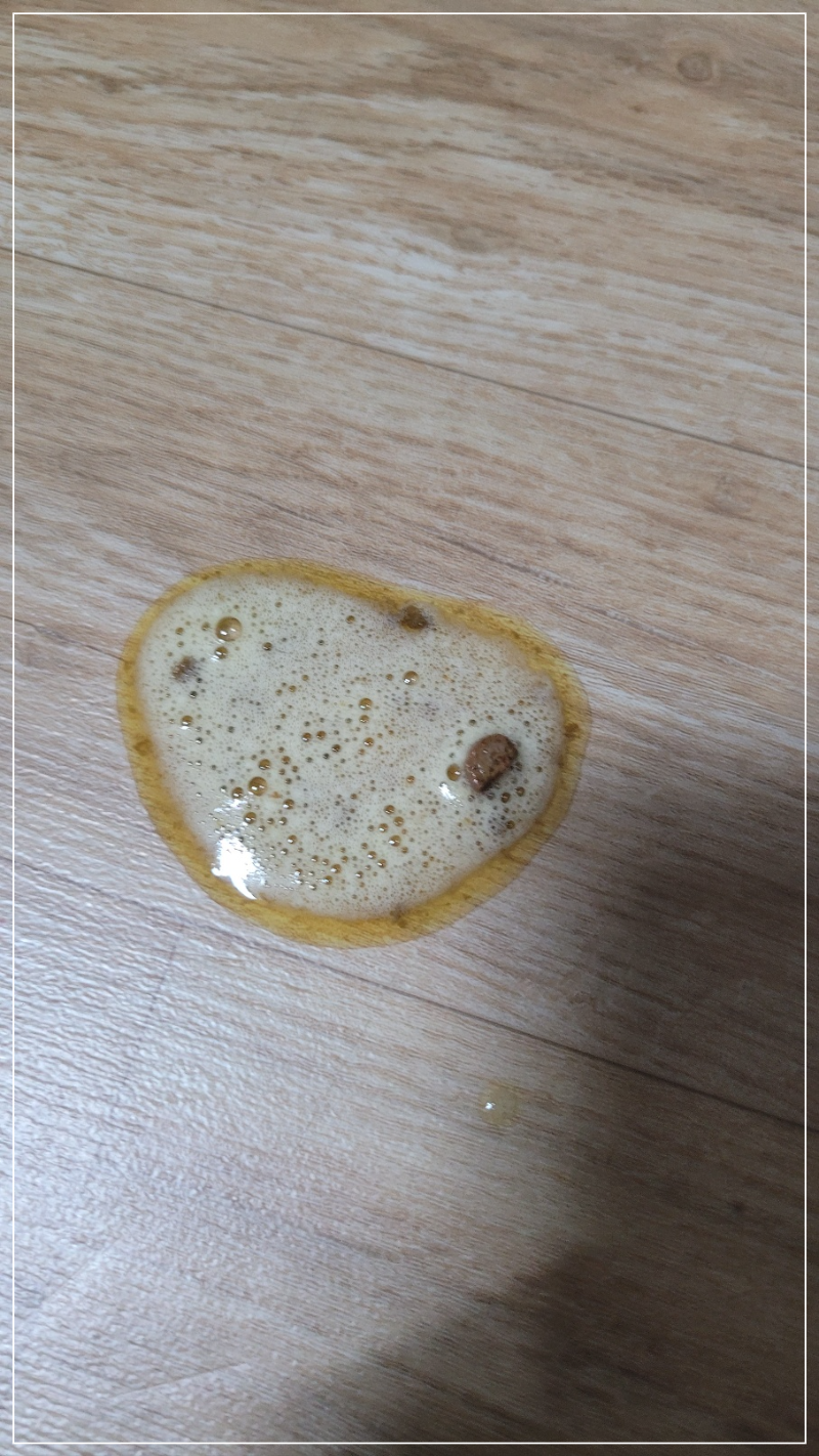 반려견 구토