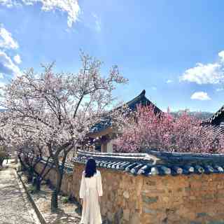 달의 연인 촬영지 남평문씨본리세거리