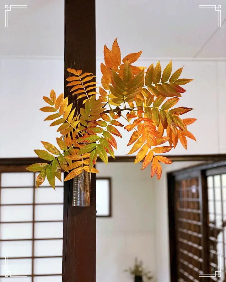 홍차 녹차 당고 양갱 모나카 디저트 특별한 인연이 있는 동양식 찻집 카페 포항 구룡포 일본인 가옥 거리 맛집