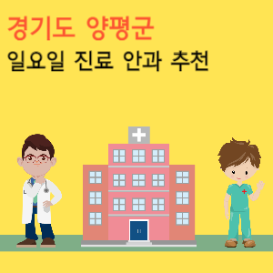 양평군 일요일 진료 안과 추천