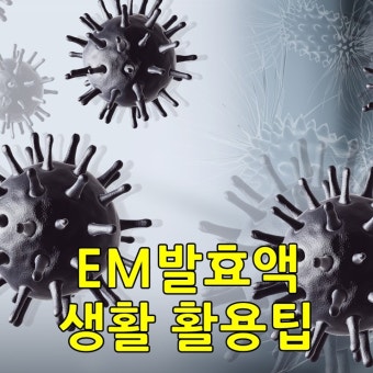 EM효과