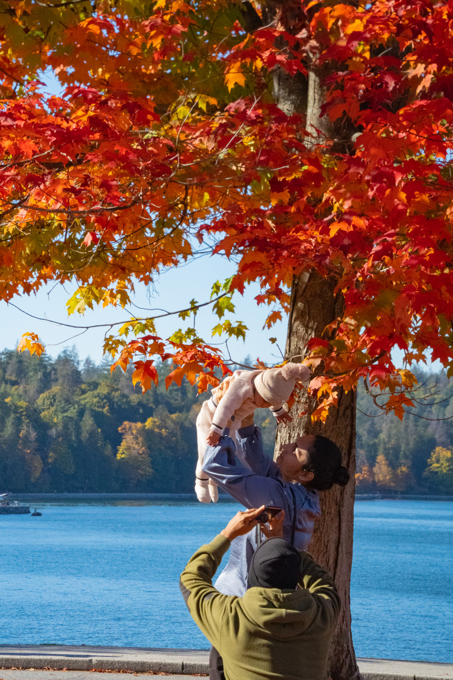밴쿠버 스탠리 공원 단풍