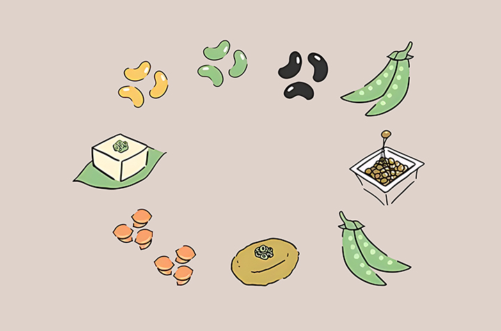 두부와-콩의-모습