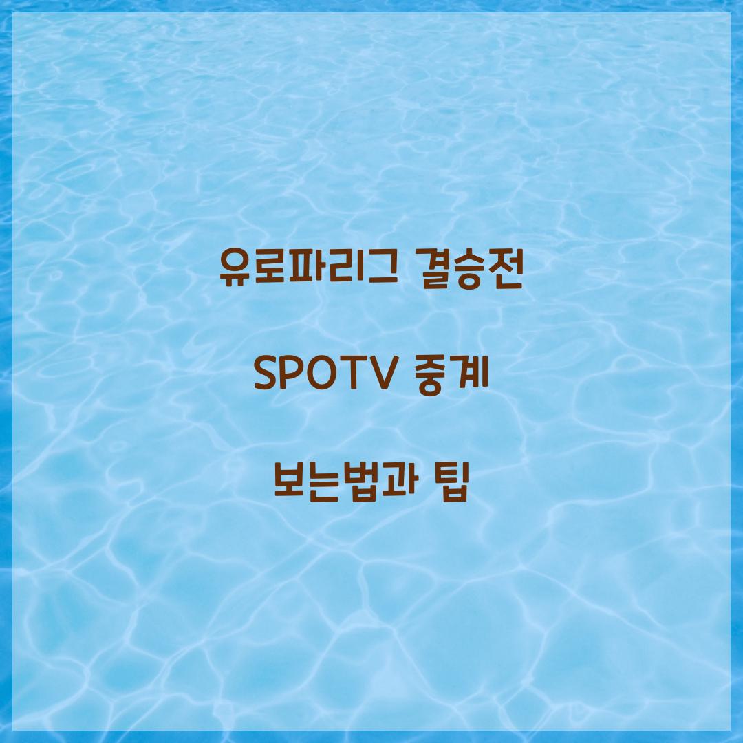 유로파리그 결승전 SPOTV 중계 보는법