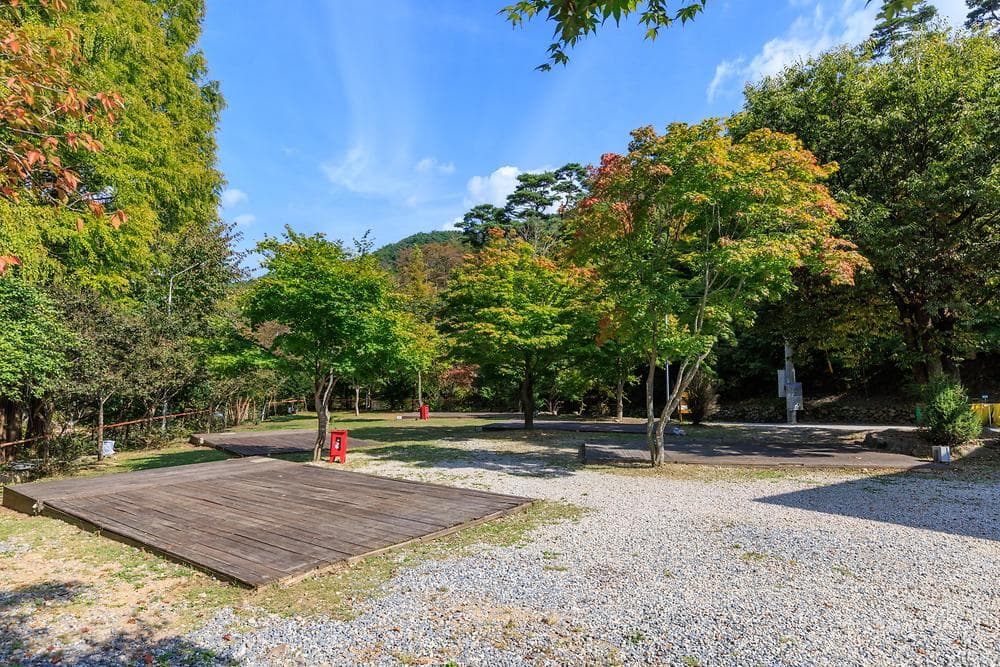 숲에서 하는 태극권과 신체 균형 회복의 자연치유 효과