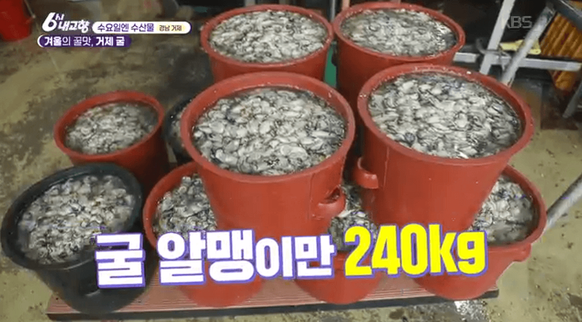 경남 거제 굴 양식장 &lsquo;공주수산(구. 영성수산)&rsquo; 택배 연락처 위치 정보