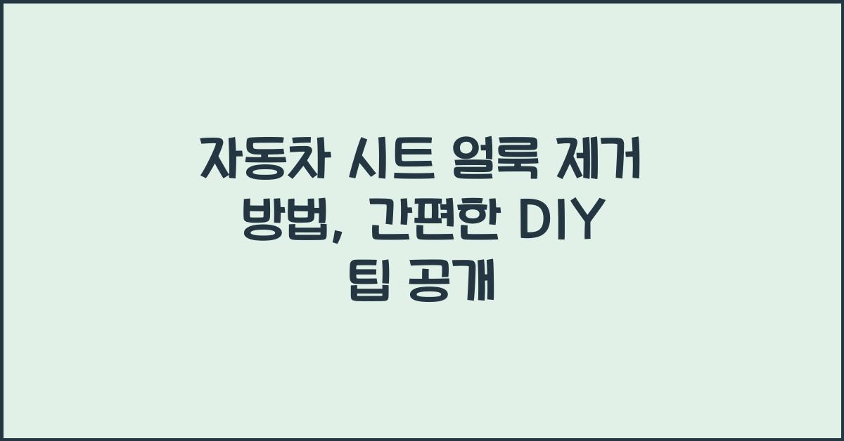 자동차 시트 얼룩 제거 방법