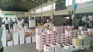 농협공판장 인터넷 통합거래시스템