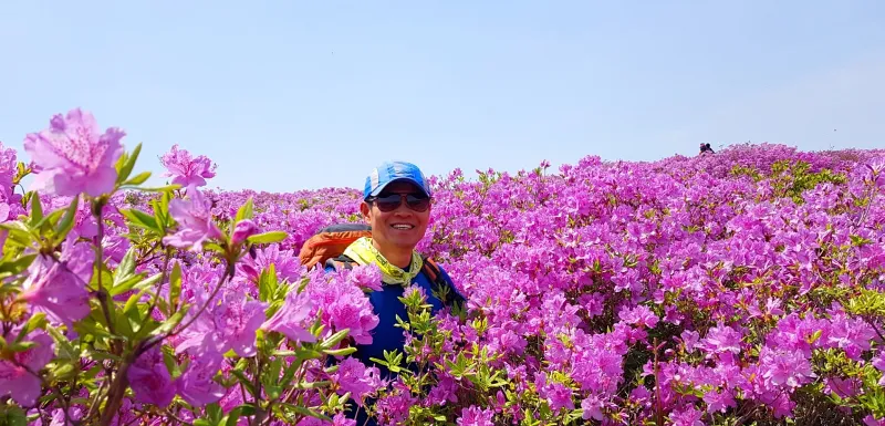 합천 황매산 철쭉