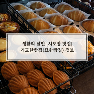 크루아상과 시오빵(소금빵)의 달인