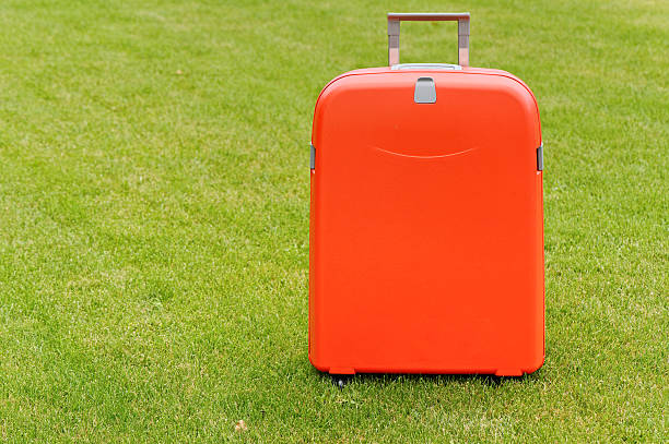 여름 휴가용 캐리어 추천 - 여행 스타일별 선택 가이드