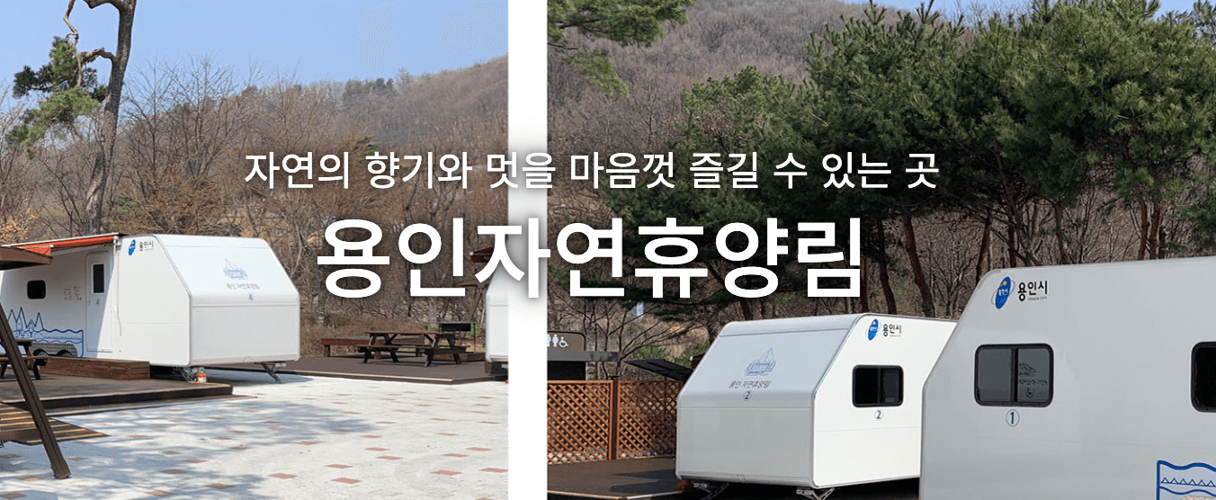 자연휴양림 숲나들e 예약방법, 내가 추천하는 자연휴양림 Best 3