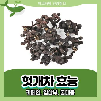 헛개나무 효능 10가지 건강에 좋은 식물 정보_7