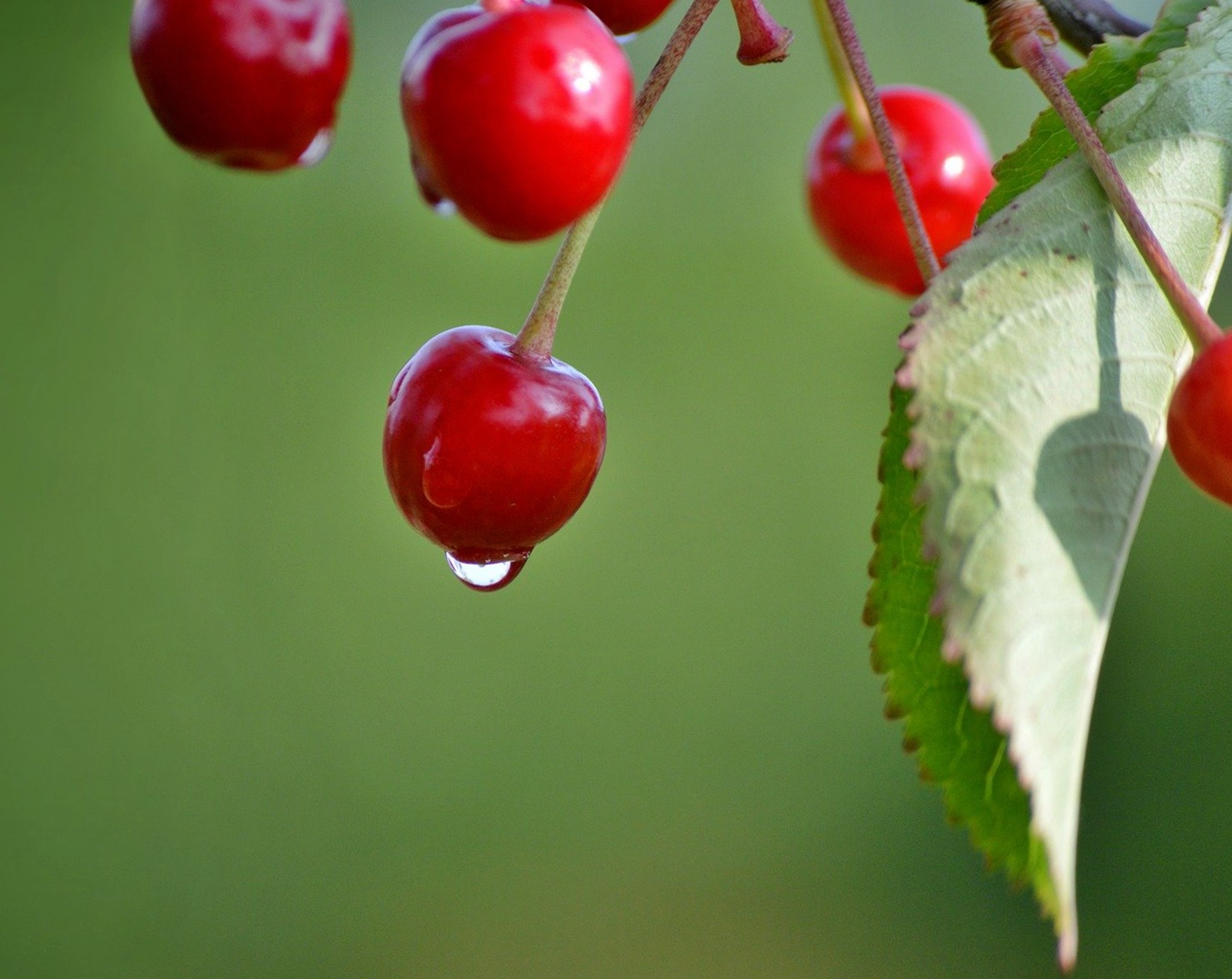 약보다 중요한 신장 회복 생활 루틴! 