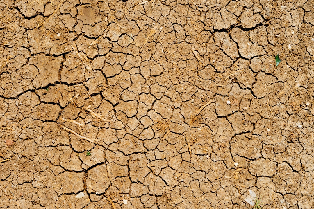 Dryness
