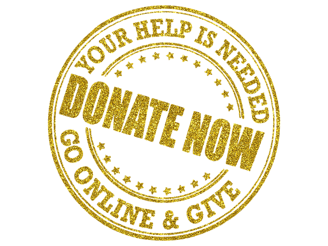 고향사랑 기부제 답례품 뭐가 제일 좋을까?(feat. 제주고향사랑기부제)