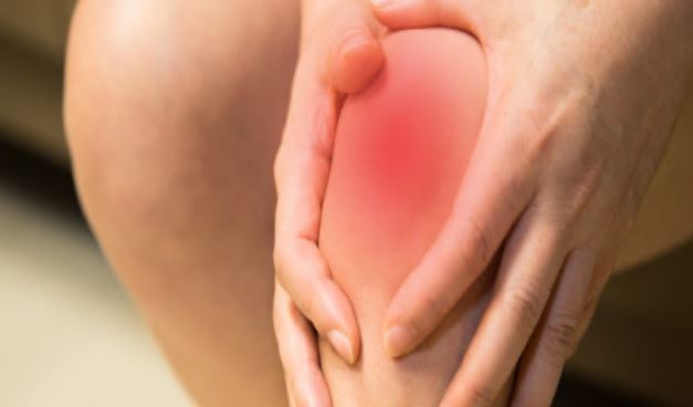 이모튼 캡슐 효능