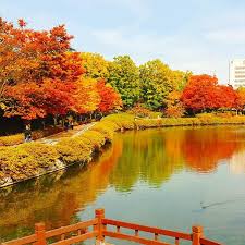 일산 호수 공원 (경기도)