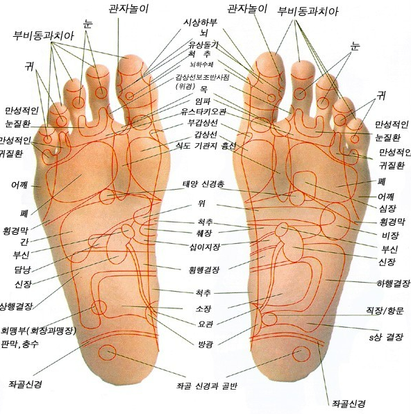 어르신 발바닥 파스 추천, 도대체 파프를 붙이면 전신에 어떤 효과가 있을까?