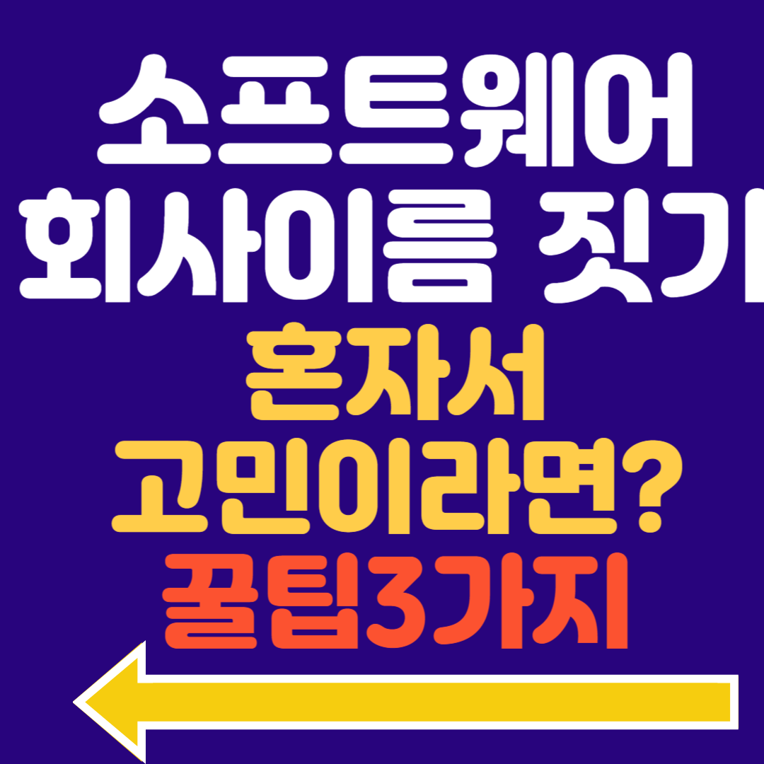 소프트웨어 회사 이름