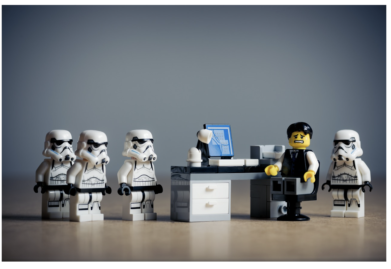 MZ세대가 선호하는 직업 트렌드