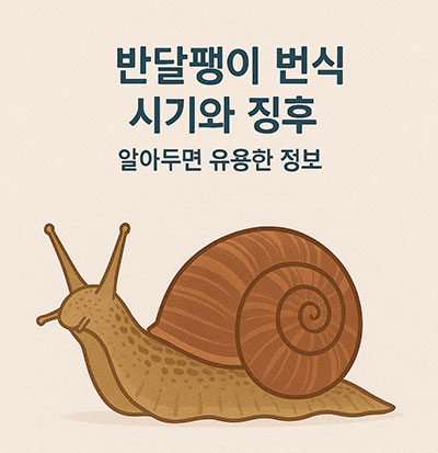 완달팽이 번식 시기와 징후