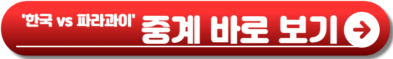 한국 파라과이 축구