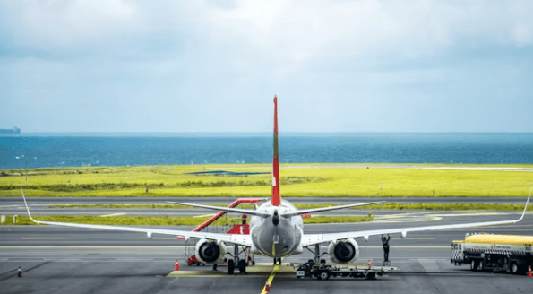 반려견과 제주여행&#44; 펫팸족을 위한 완벽 가이드