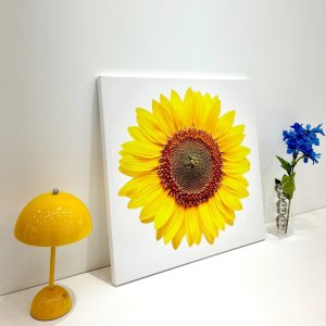 해바라기 액자 모습