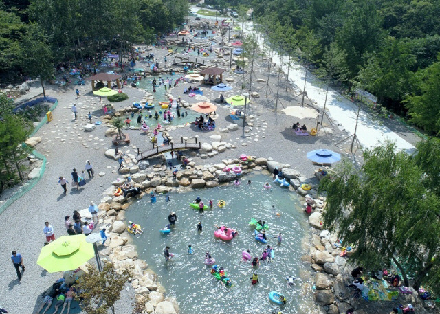 웰니스 자연 체험